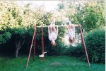 swingset