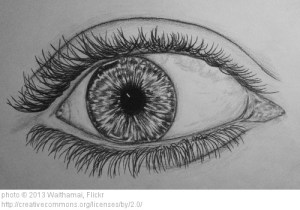 eye